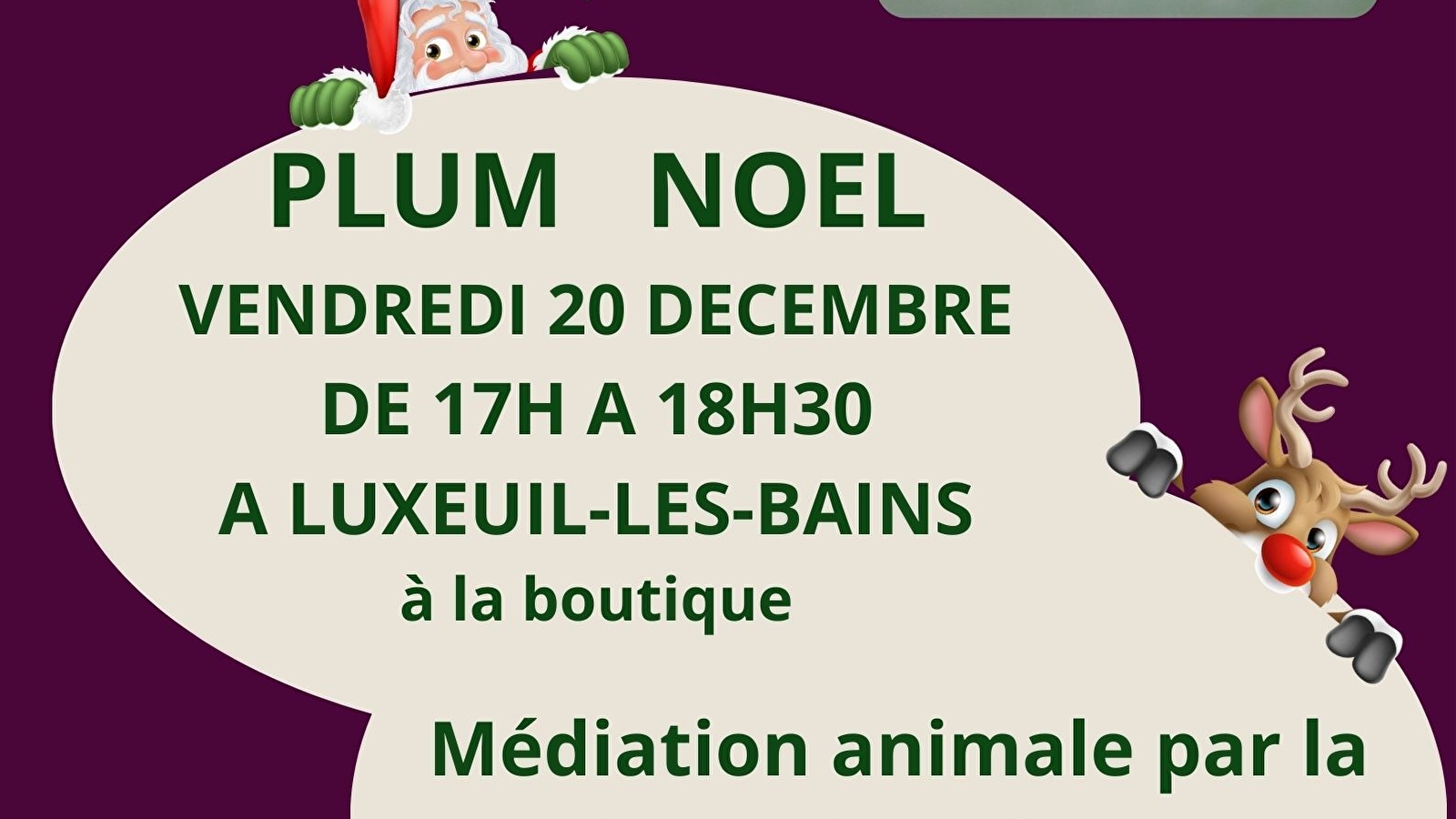 Plum(ailfe) Noël