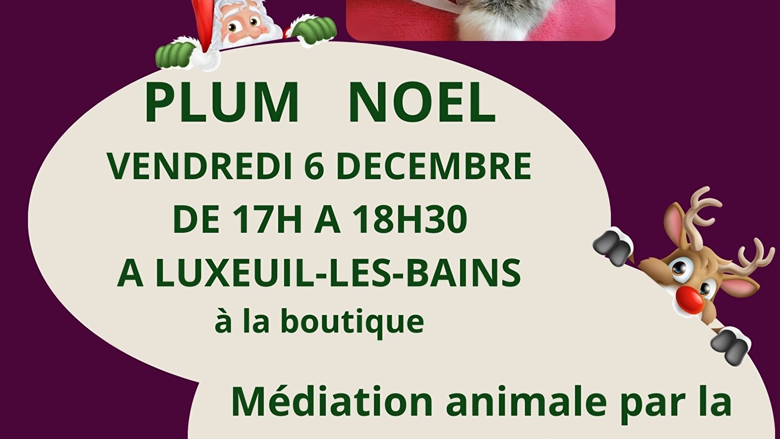 Plum(ailfe) Noël