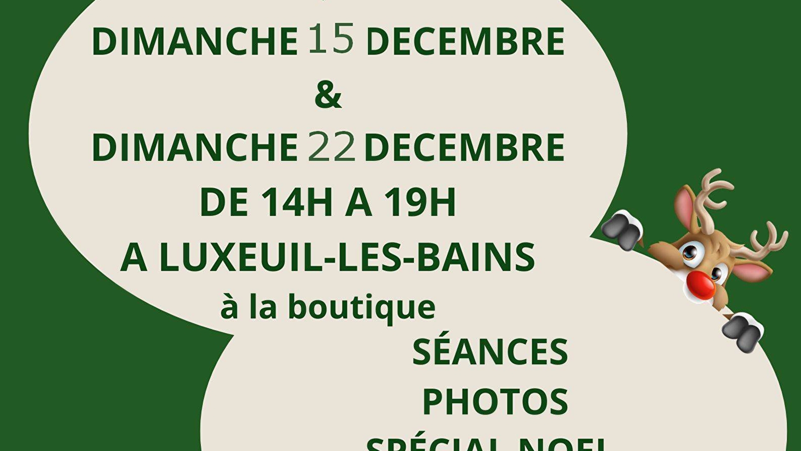 Séances photos spécial Noël avec votre chien